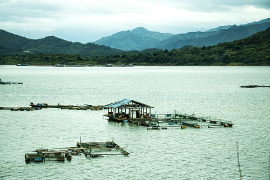 湖区水产养殖