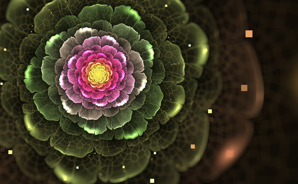 花朵裝飾畫