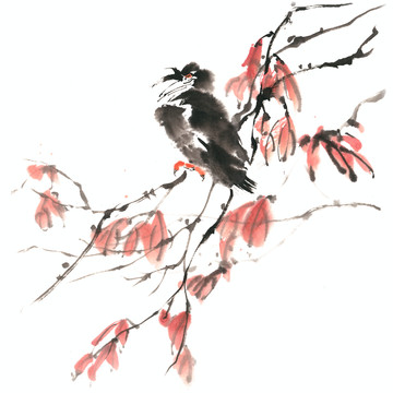 秋季小鳥
