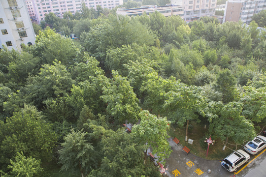 小区雨润