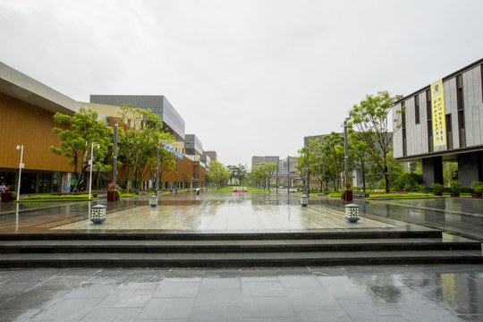 香港中文大学深圳校区