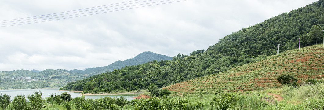 湖泊农场