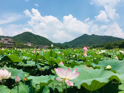 夏明瀚故里