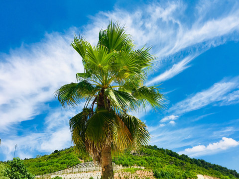 夏季旅游