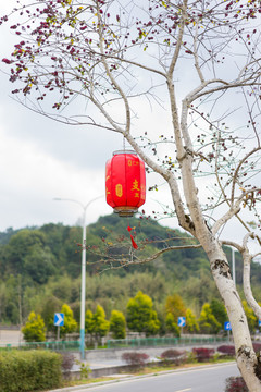 广州从化莲麻小镇