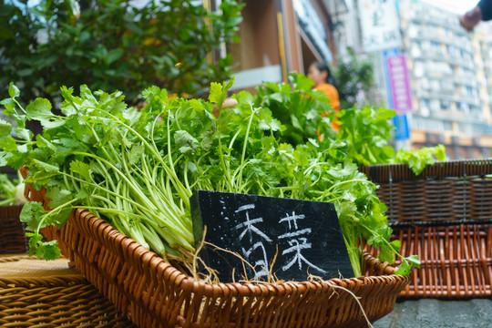 菜篮子里的蔬菜