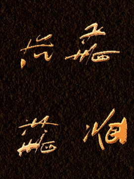 龍飛鳳舞書法