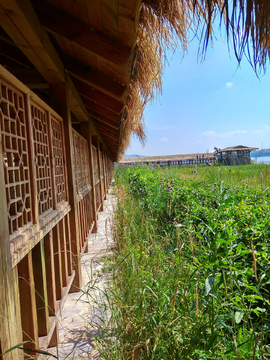 草原风景