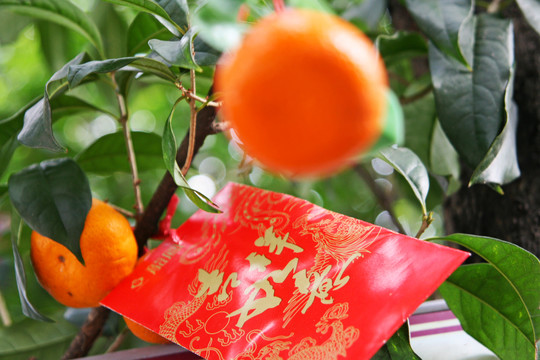 紅包
