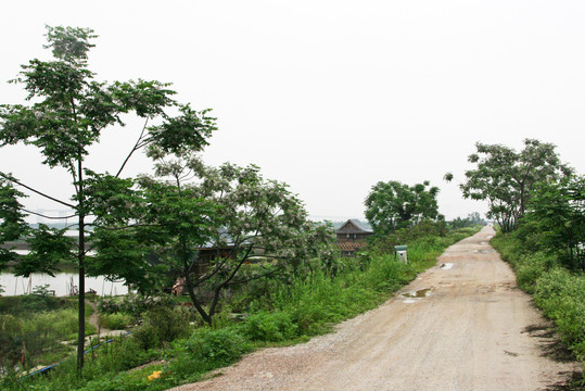 乡村道路