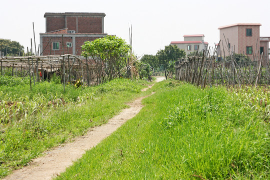 乡村道路