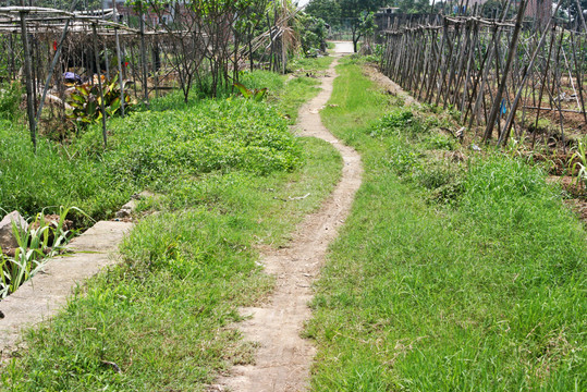 乡村道路