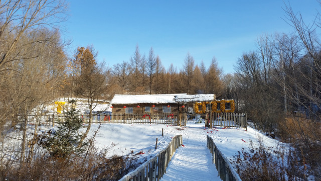 东北农家雪景