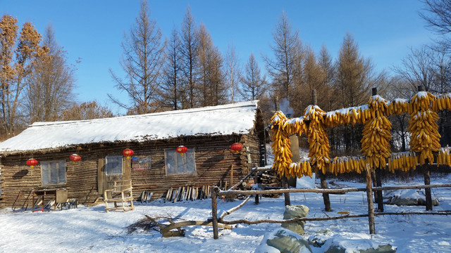 东北农家雪景