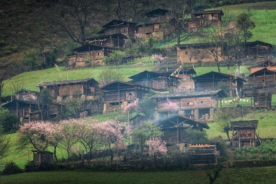 丙中洛雾里村