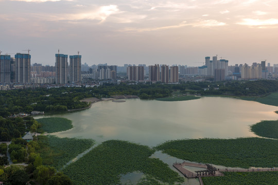 莲花湖