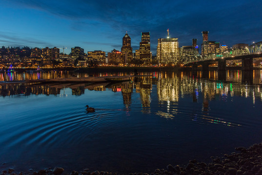 波特兰都市夜景