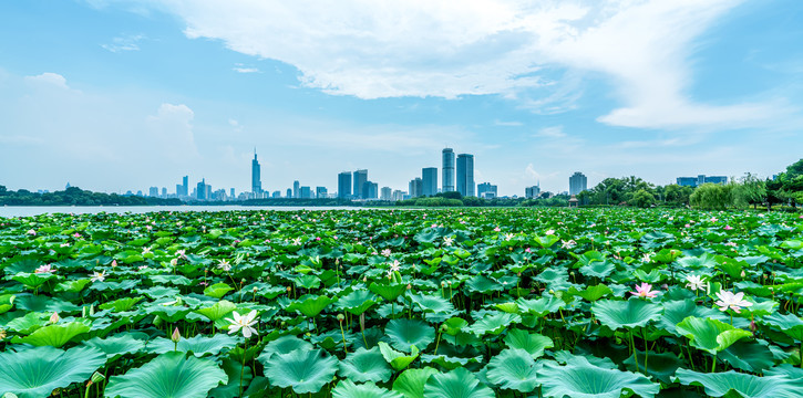 南京城市景观