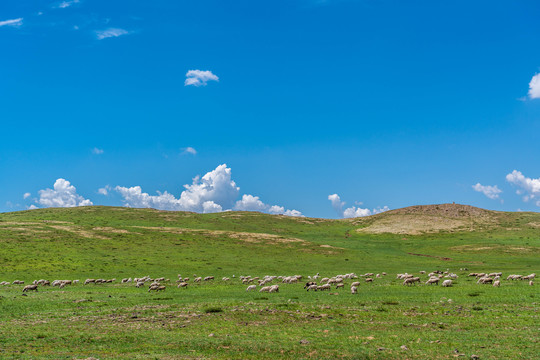内蒙古乌兰察布草原自然风景