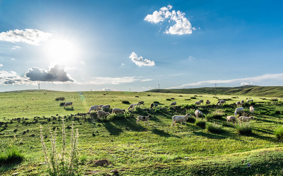 内蒙古乌兰察布草原自然风景