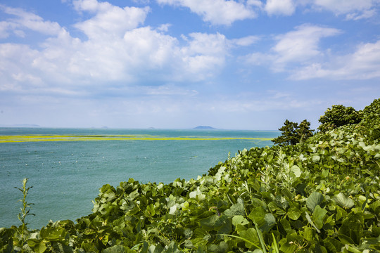 青岛崂山海滨