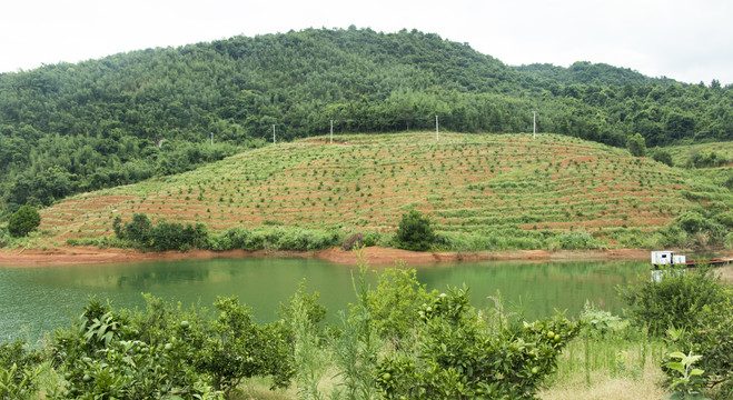 水岸农场