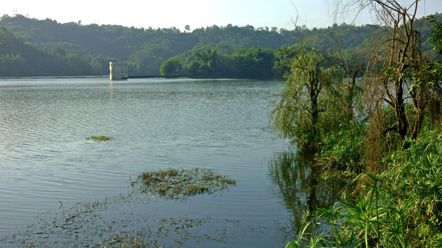 迎龙湖湿地公园