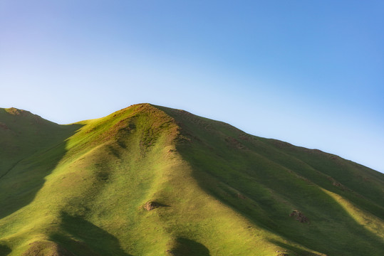 高山草甸