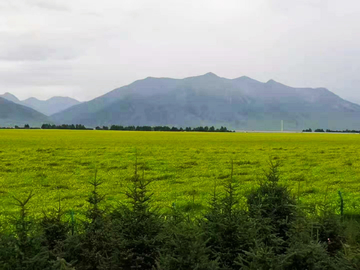 草原高山