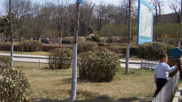 2009年的老太原市动物园
