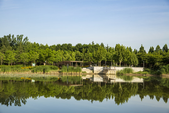 自然风景