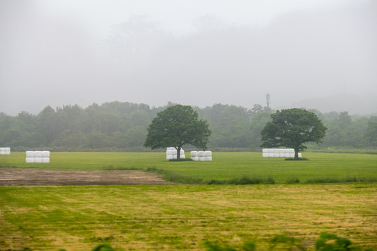 日本乡村