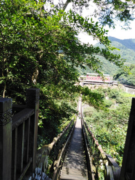 台湾木头吊桥铁索桥