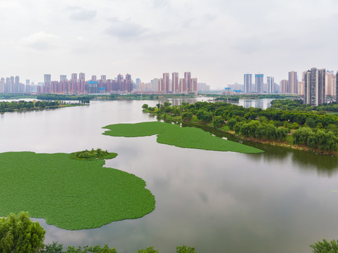 武汉夏日城市航拍迷人风光