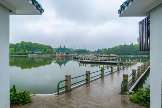 湖北武汉东湖风景区夏日风光