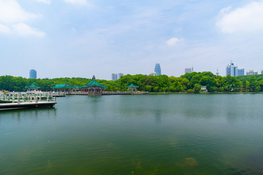 湖北武汉东湖风景区夏日风光