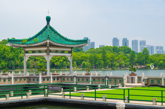 湖北武汉东湖风景区夏日风光