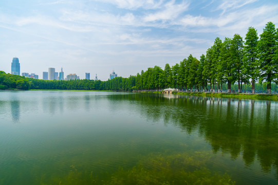 湖北武汉东湖风景区夏日风光