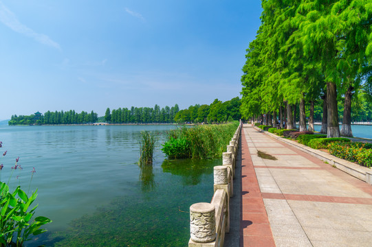 湖北武汉东湖风景区夏日风光