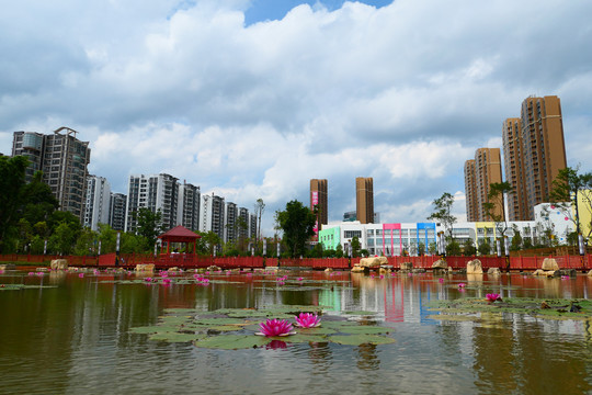 城市风光