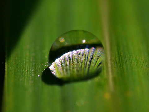 水滴