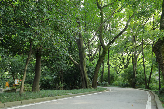 风景