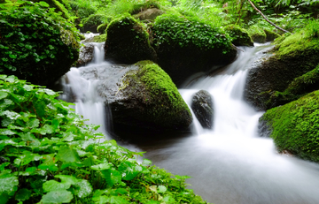 山涧 小溪