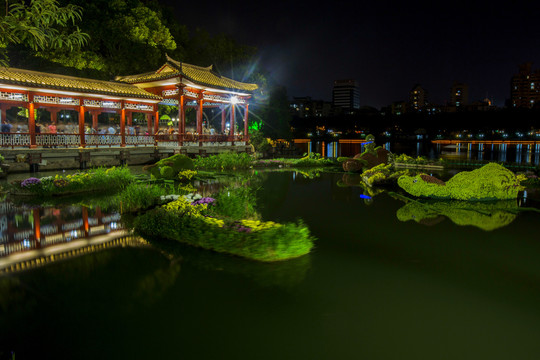 福州西湖公园菊花展