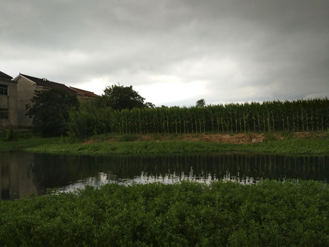 暴风雨夏日乡村