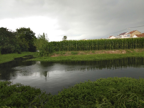 夏日乡村小河