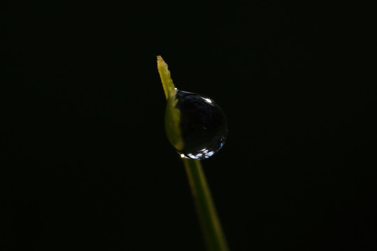 水滴微距摄影