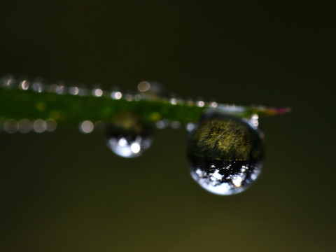 水滴艺术摄影