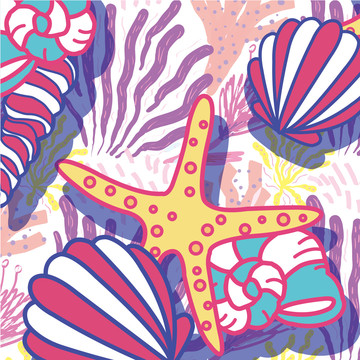 海洋貝殼