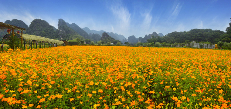 峰林花海